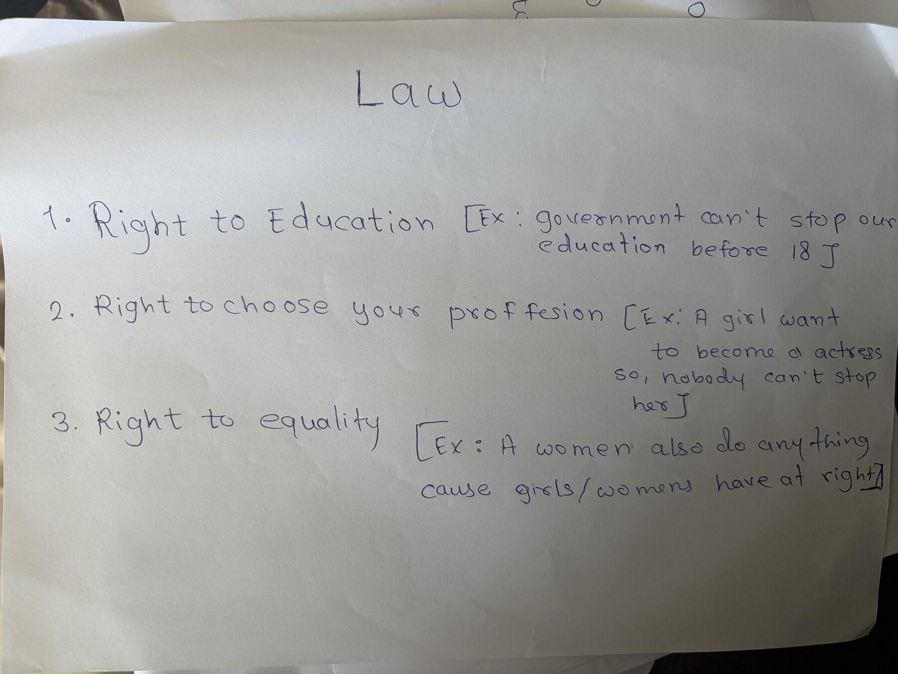 Country and laws created by students, photo 8