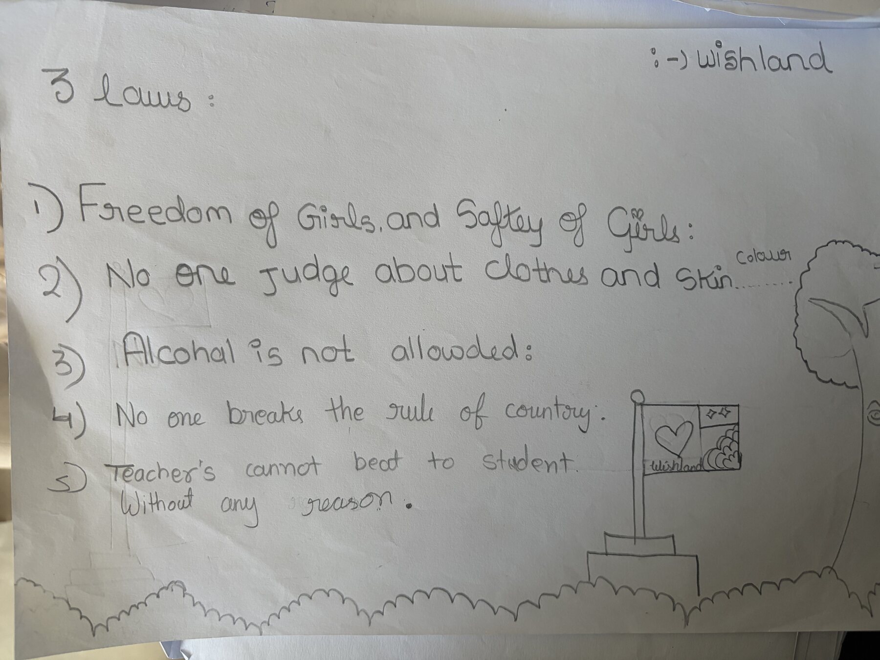 Country and laws created by students, photo 6