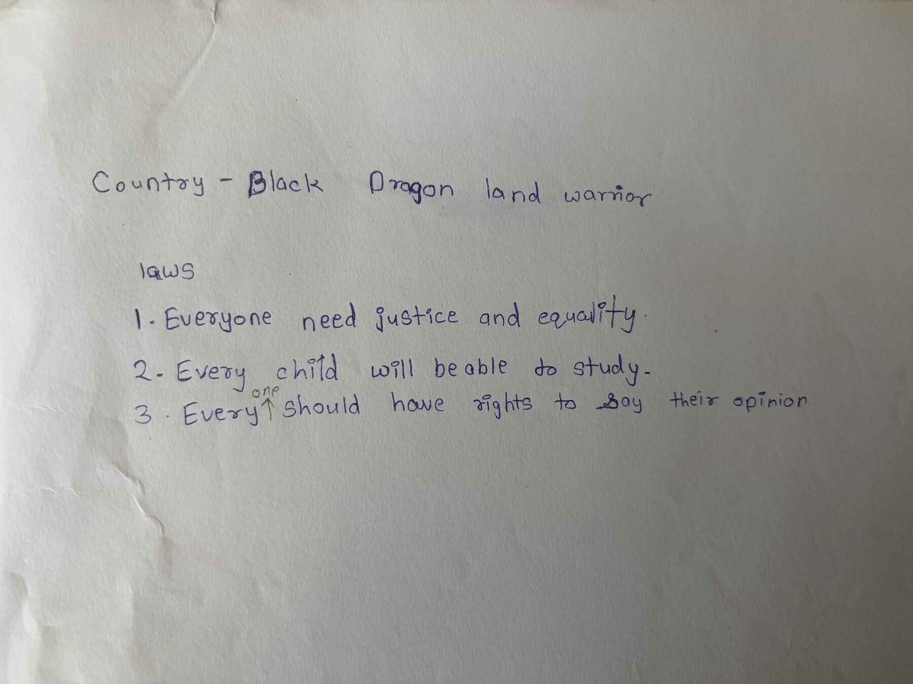 Country and laws created by students, photo 1