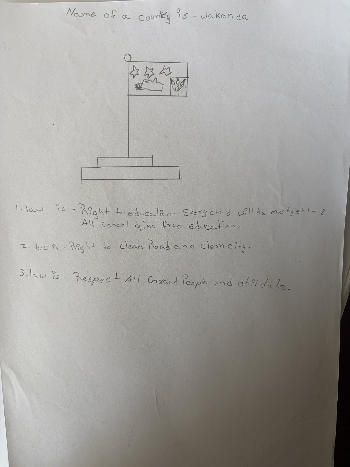 Country and laws created by students, photo 4